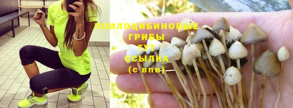 крисы Беломорск