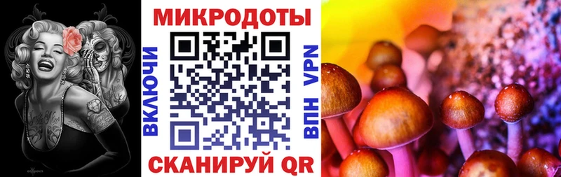 Псилоцибиновые грибы Psilocybe  Гремячинск 
